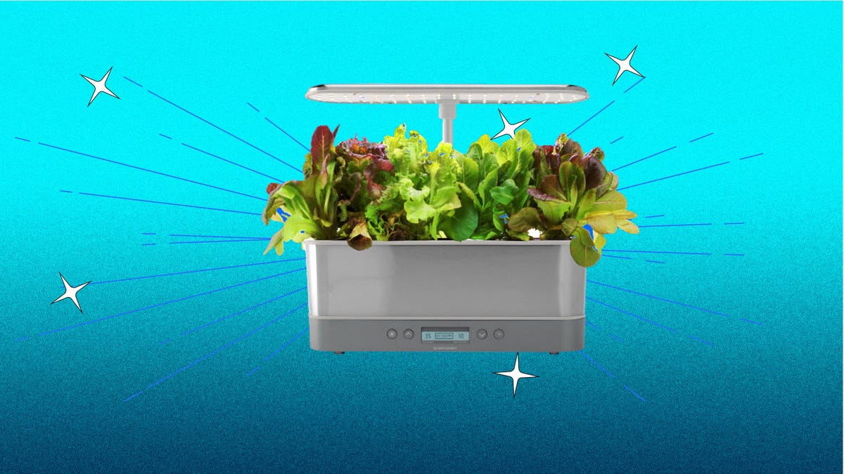 There different indoor AeroGarden options are displayed against a blue background.