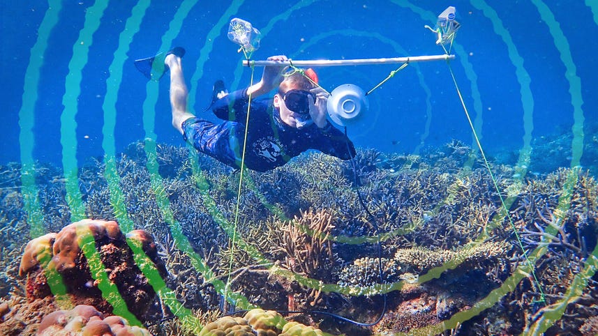 A new tool in the fight to save coral reefs: Sound