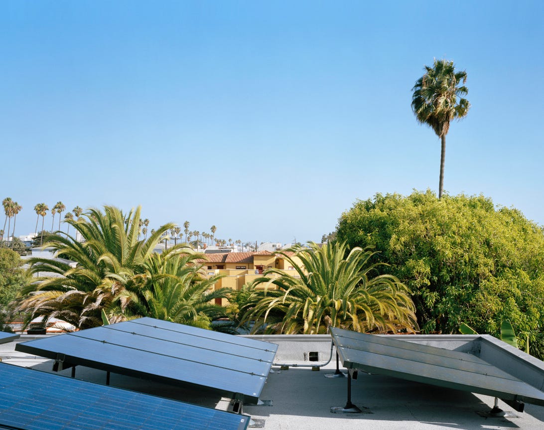 Solar panels in front of palm trees.