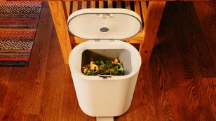Composting Is So Over. This New Bin Turns Kitchen Scraps Into Chicken Feed