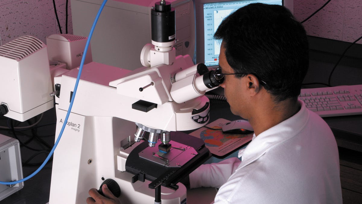 csiro-scientist-microscope.jpg