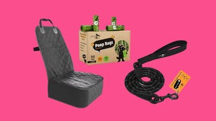 Save Up to 50% on Pet Accessories for Your Home and Car
