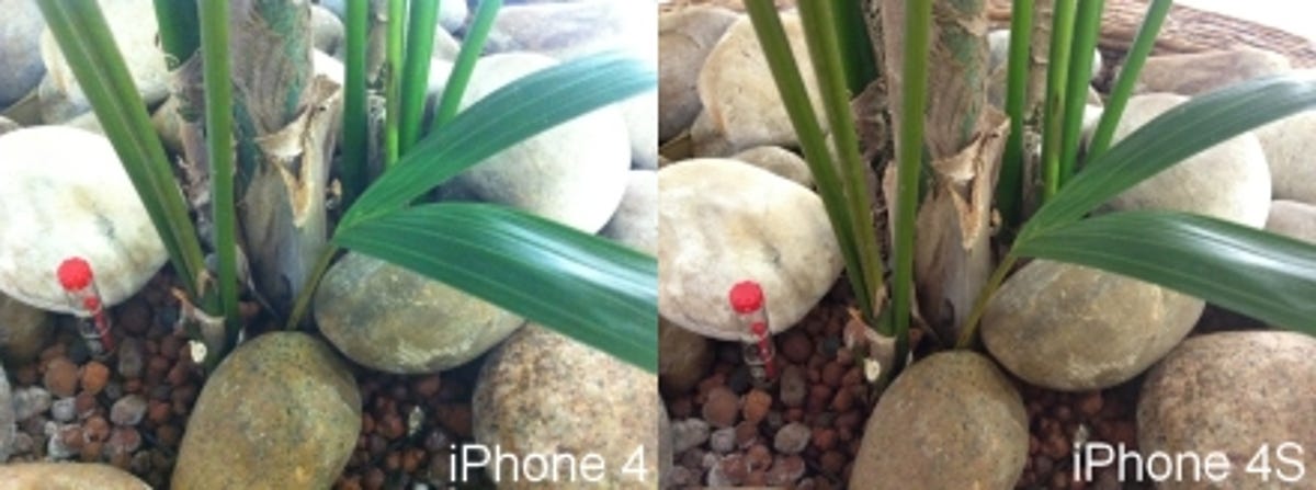 iPhone 4S camera test plant