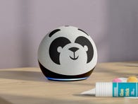<p>Echo Dot Kids Edition panda version</p>
