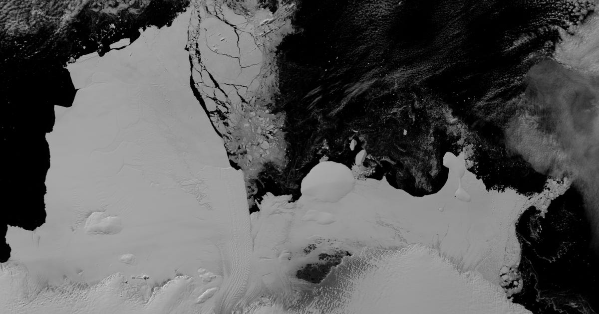Plataforma de gelo antártica, quase tão grande quanto Los Angeles, desmorona completamente