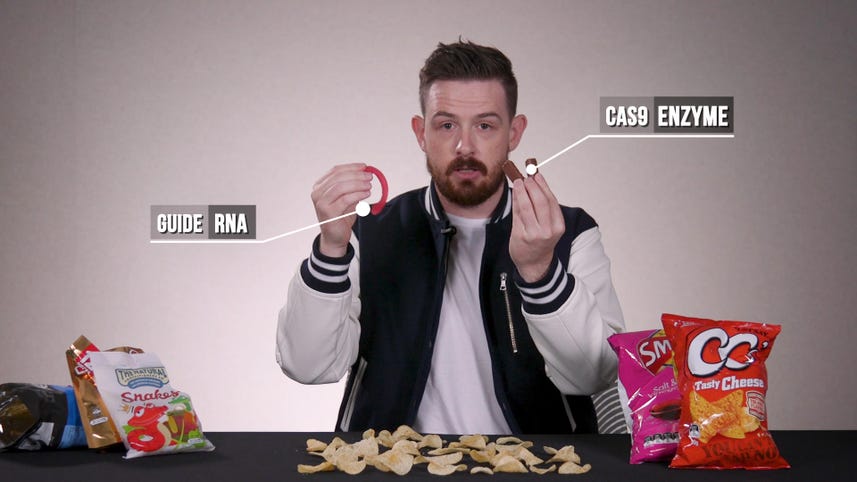 CRISPR explained with crisps (and assorted snacks)