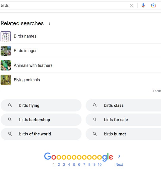 Google search page for birds