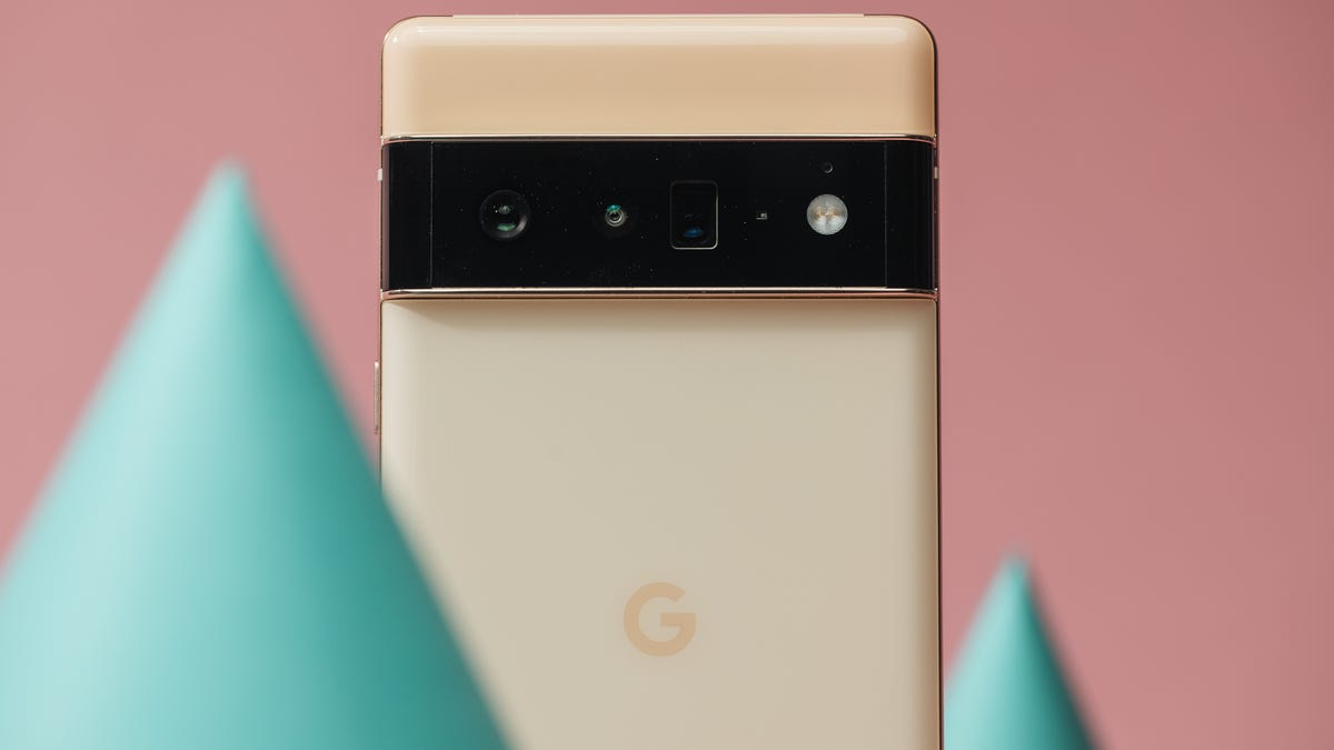 back of the Pixel 6 Pro