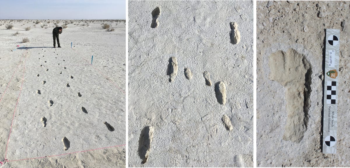 white-sands-human-footprints-adult-and-child.png