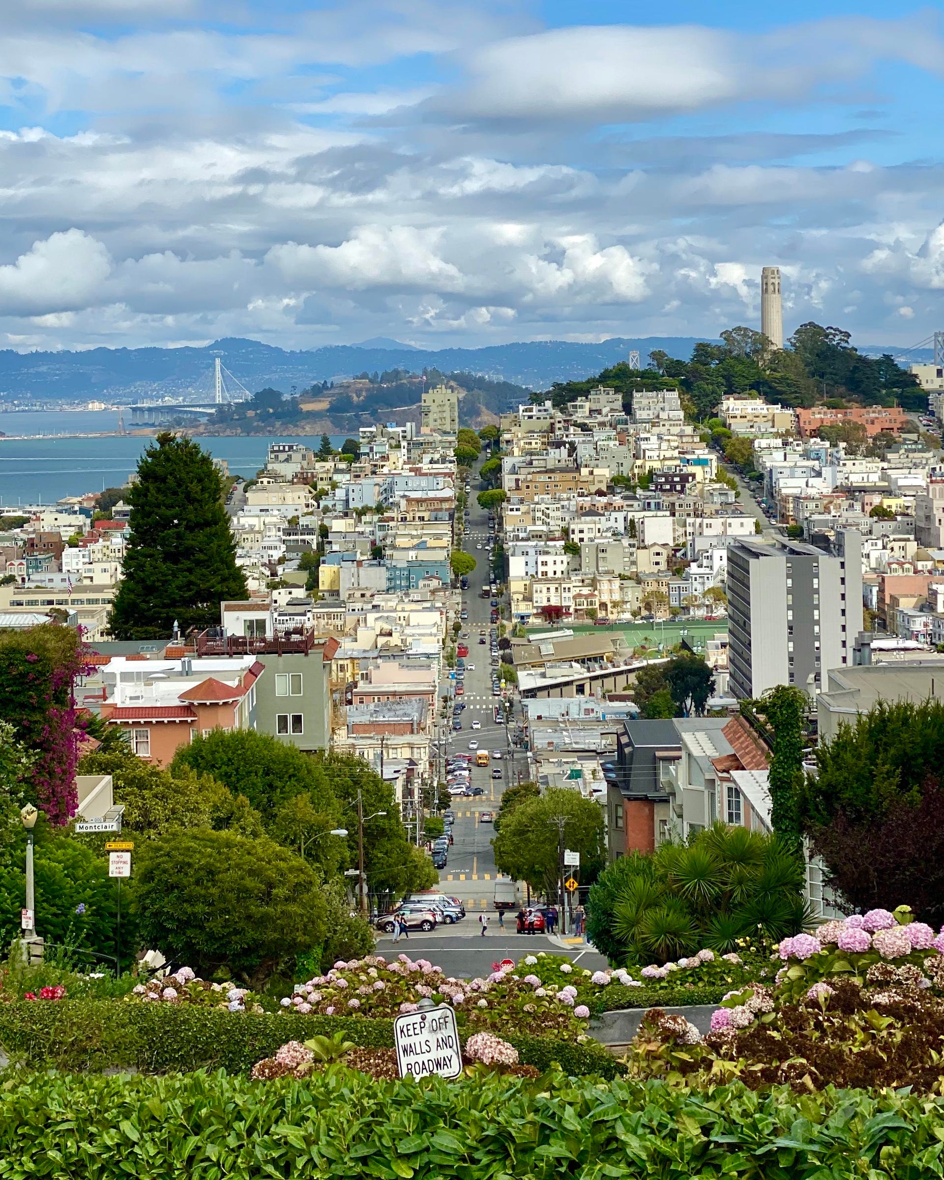 Lombard Street stretches out to the horizon, with the Bay Bridge and Oakland on the left, and Coit Tower on the right.