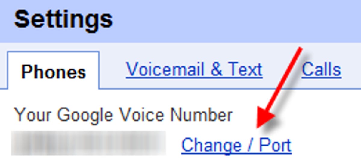 Google Voice, porting