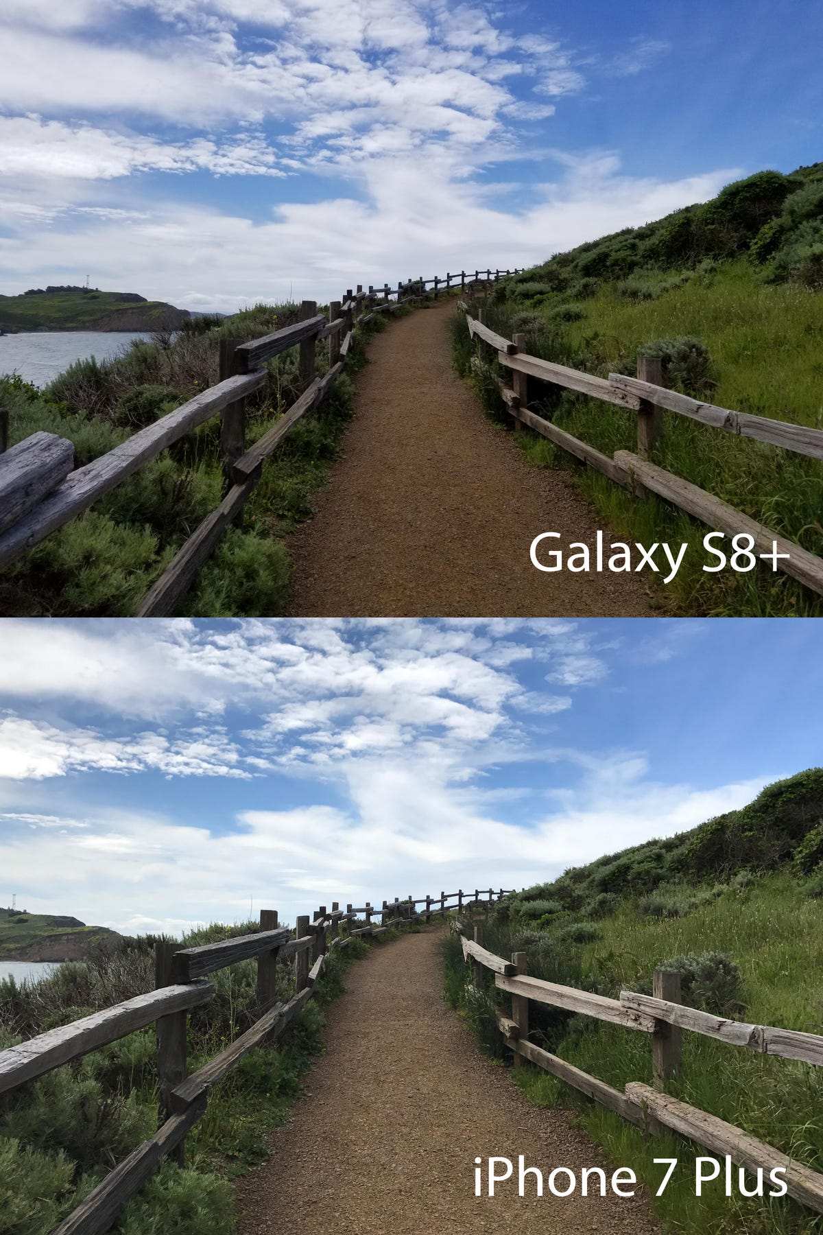 cangrejo Vislumbrar Recurso Galaxy S8 vs iPhone 7: Which camera is better? - CNET
