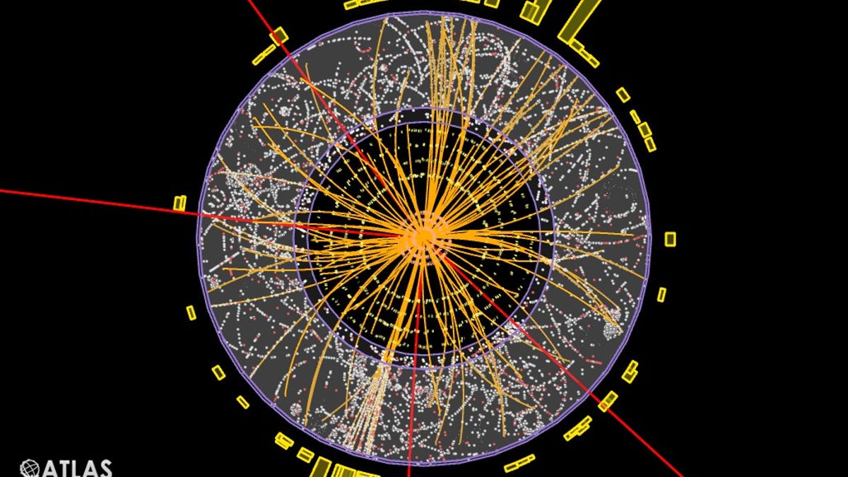 LHC observes muons in action