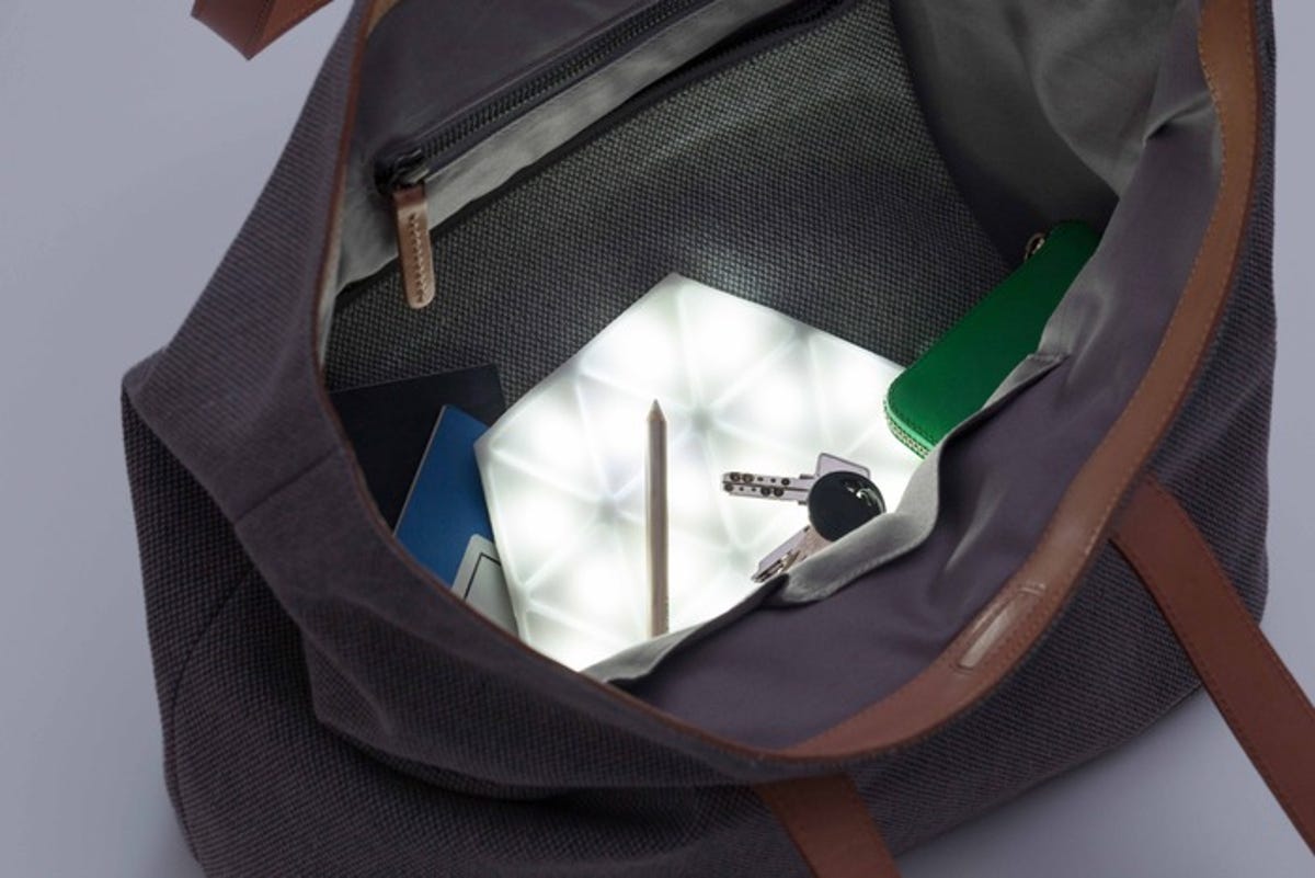 Kangaroo Light in a purse