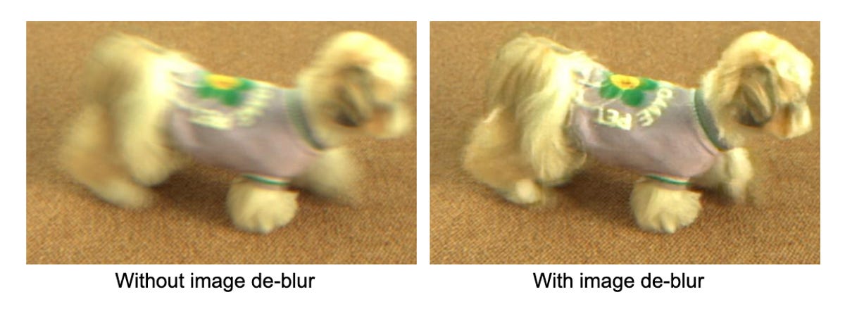Oppo's before and after of a dog wagging its tail.