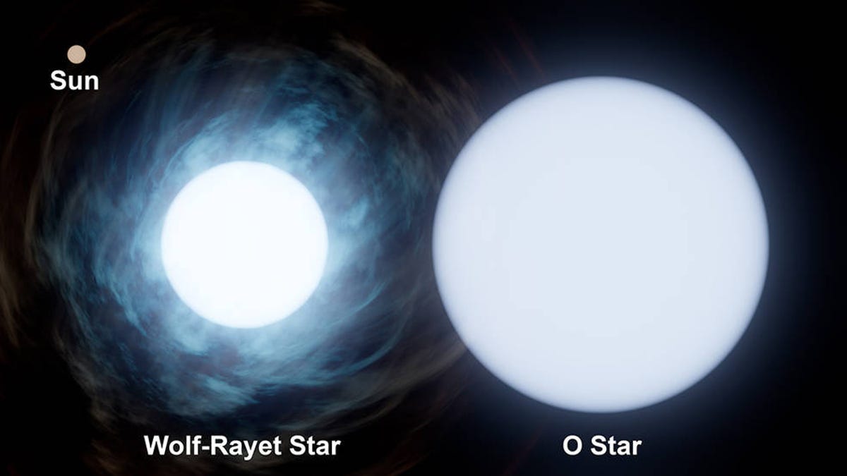 On the top left is a tiny circle representing out sun. In the middle left is a Wolf-Rayet star, which appears shrouded in wind and gas. On the right is a slightly larger O-type star without any gas or wind surrounding it.