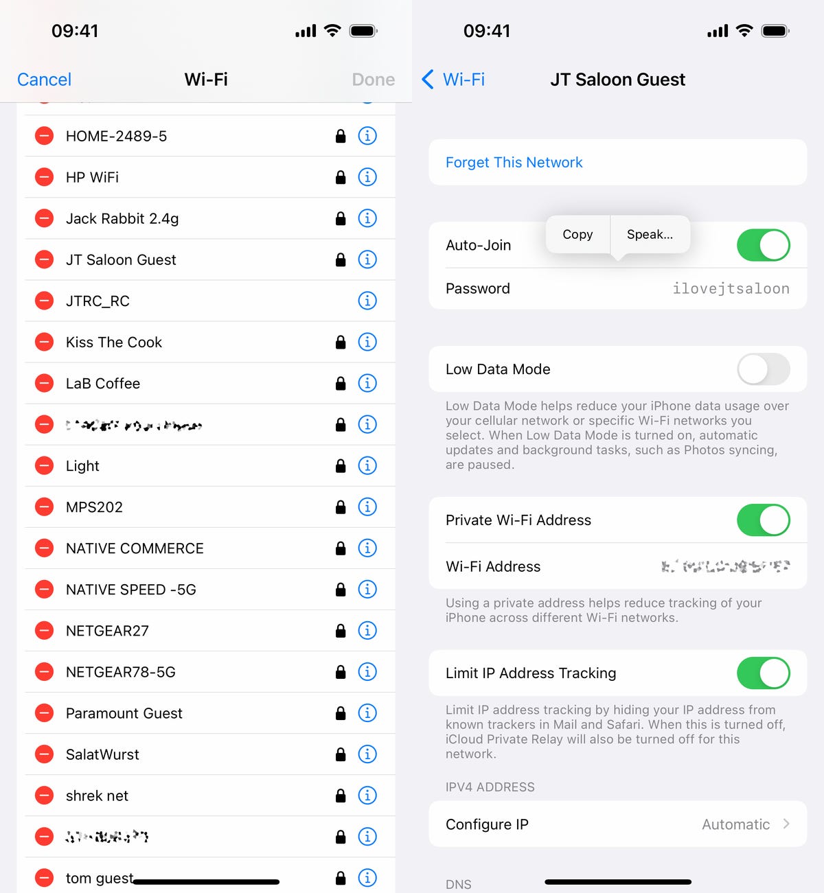 Saved Wi-Fi passwords in iOS settings