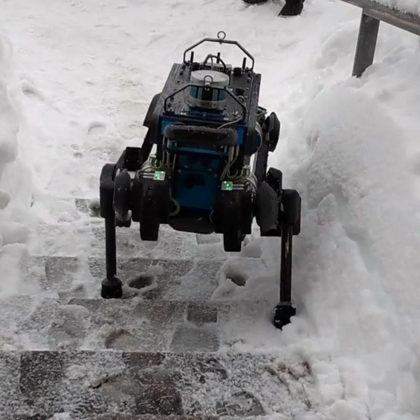This ANYmal robot can go just about anywhere