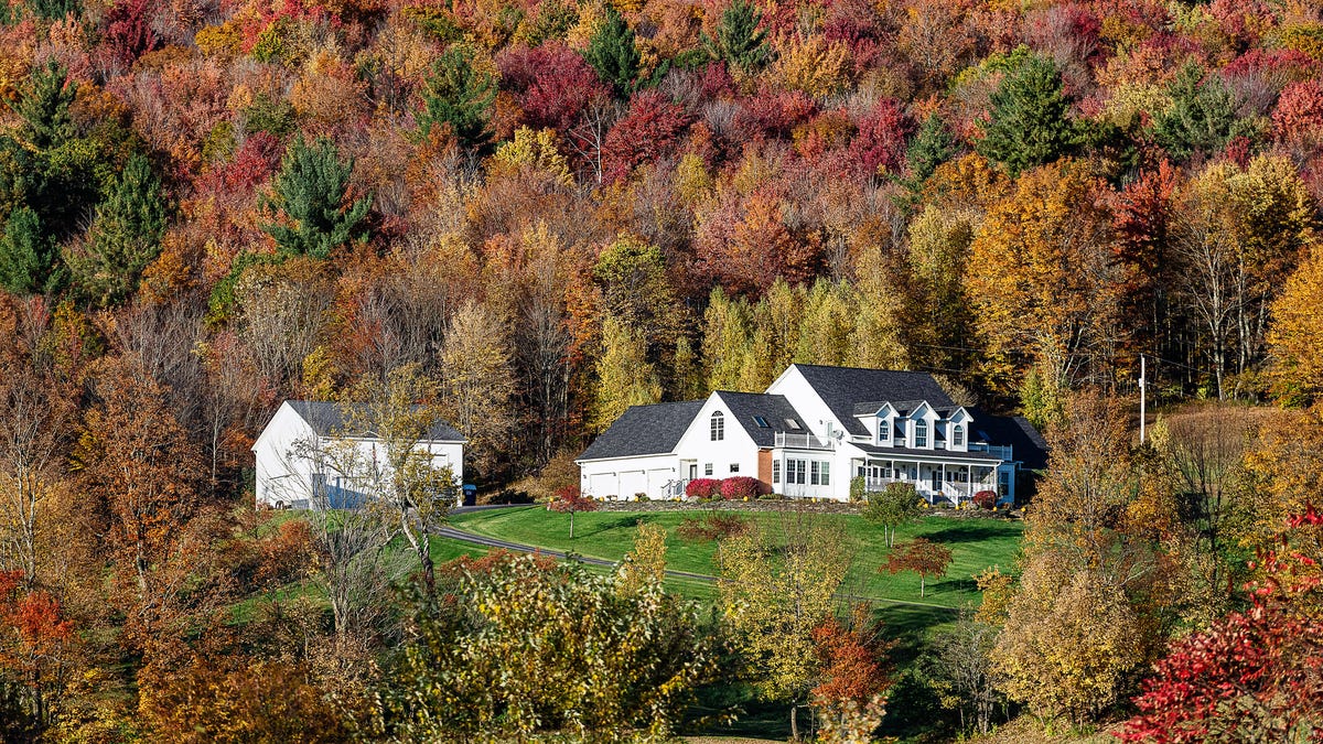 Large home on a hill with detached suite and fall foliage