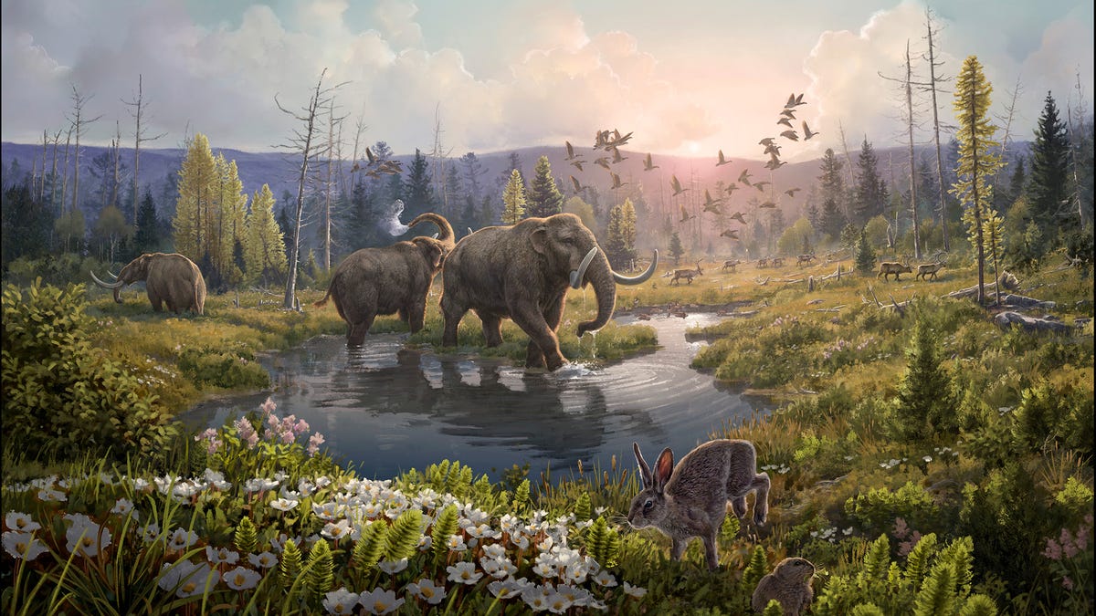 A lush, vibrant scene featuring mastodons, hares, voles and a wide variety of planet life. The sun is shining a brilliant pink hue in the distance.
