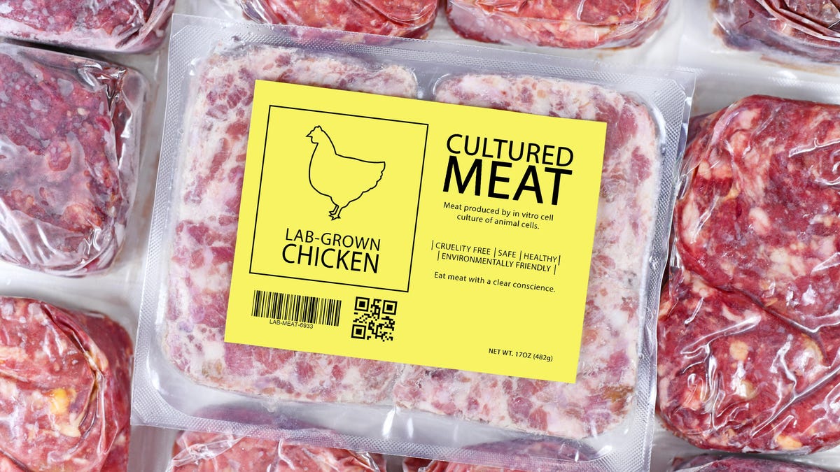 Le poulet cultivé en laboratoire est désormais légal à la vente, selon les règles de l’USDA
