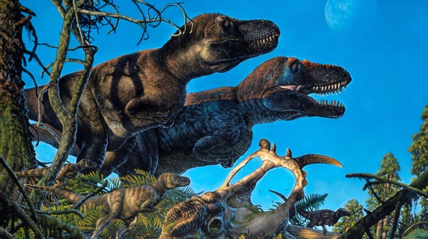 We now know that Tyrannosaurs roamed the freezing, dark Arctic