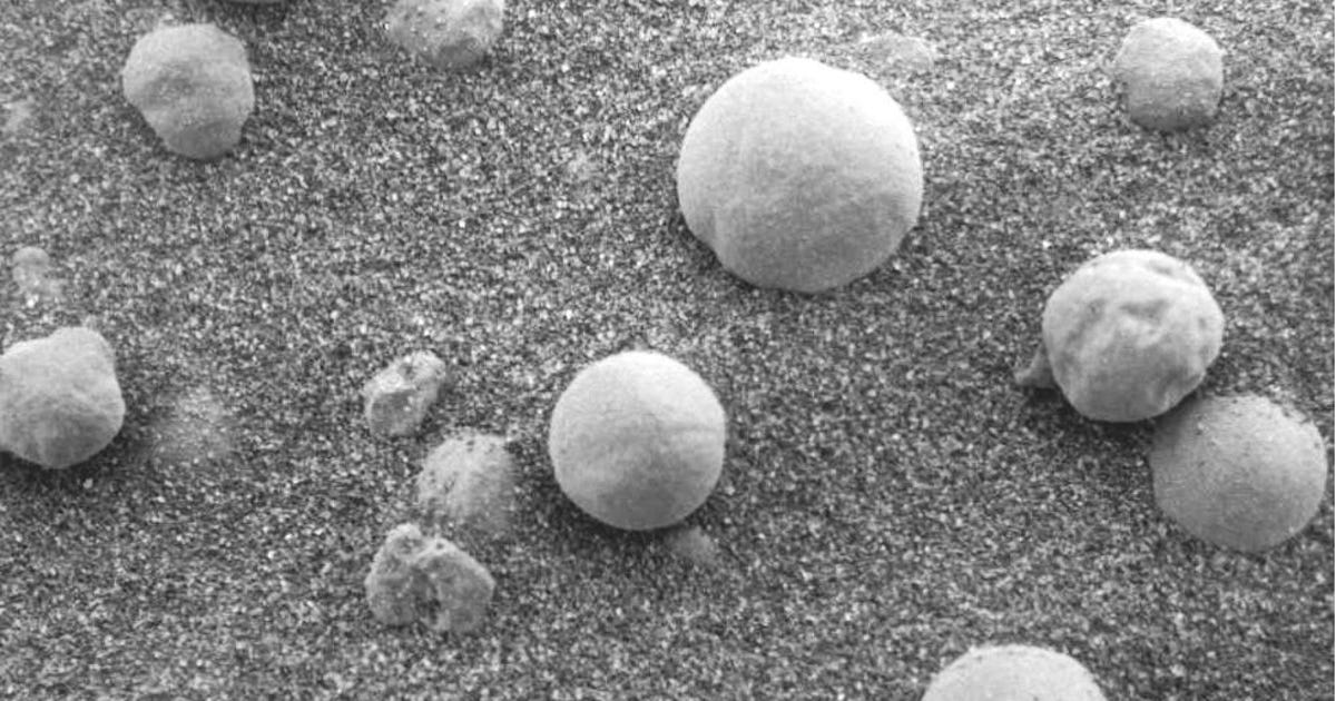 No, le foto della NASA non sono la prova di un fungo che cresce su Marte, mi dispiace