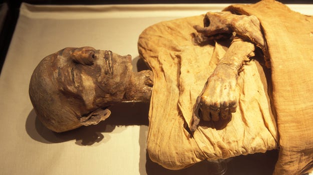 If  mummies had faces: How Egyptians may have looked