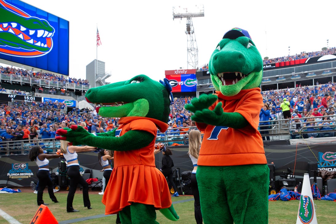 Florida Gator mascots at a football game